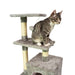 Trekker Cat Tree Basic 80cm