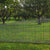 Fornorth Fence panel 1030x2500mm, wirestrength 3.5mm, black