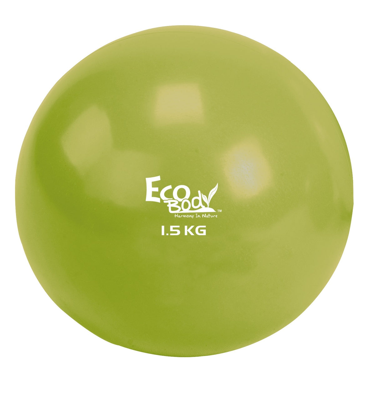 Eco Body Fitnessball 1.5kg