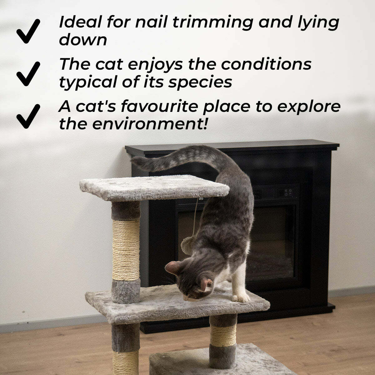 
              Trekker Rascador para gatos Basic 80cm