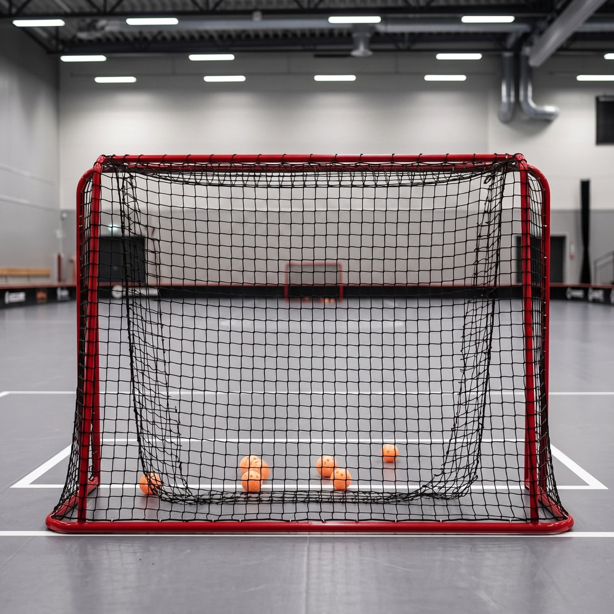 
              Prosport Porta da Floorball Premium 160x115x58cm