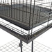 Trekker Bird cage 51x51x139cm