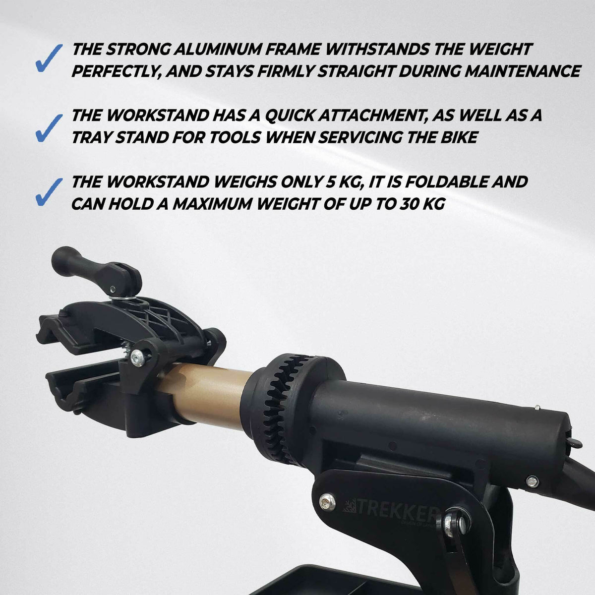 
              Trekker Bike Workstand, aluminium