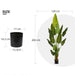 Lykke Artificial Plants Bird of Paradise 200cm