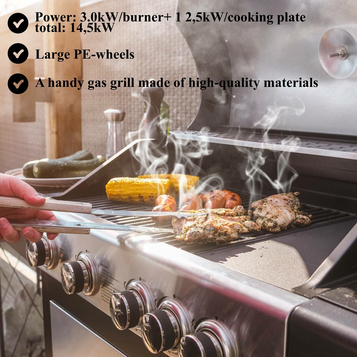 
              Limousin Gasgrill Royal 4+1 Stainless