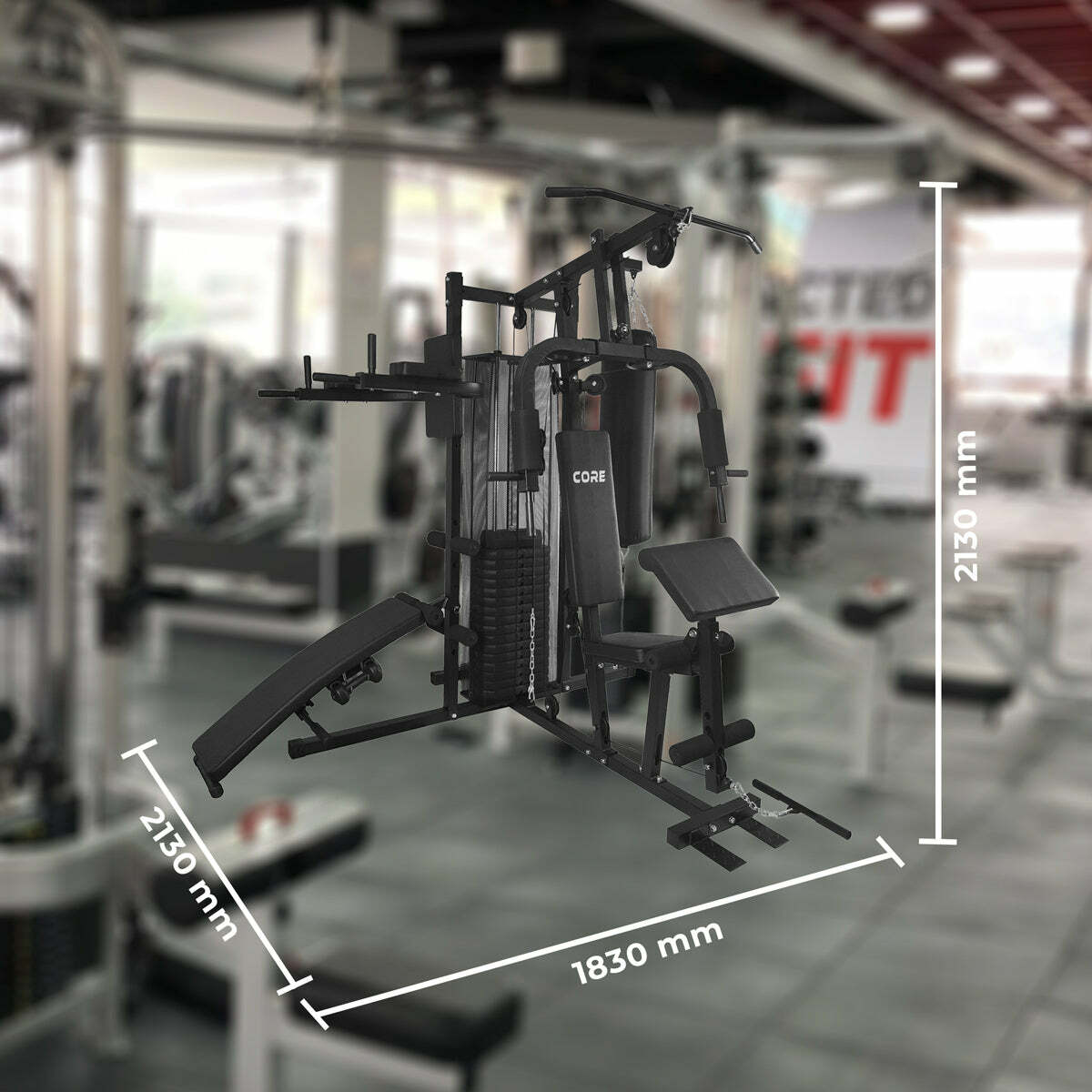 
              Core Palestra Multifunzione 100kg