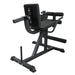 React Leg Extension/Curl Machine 100