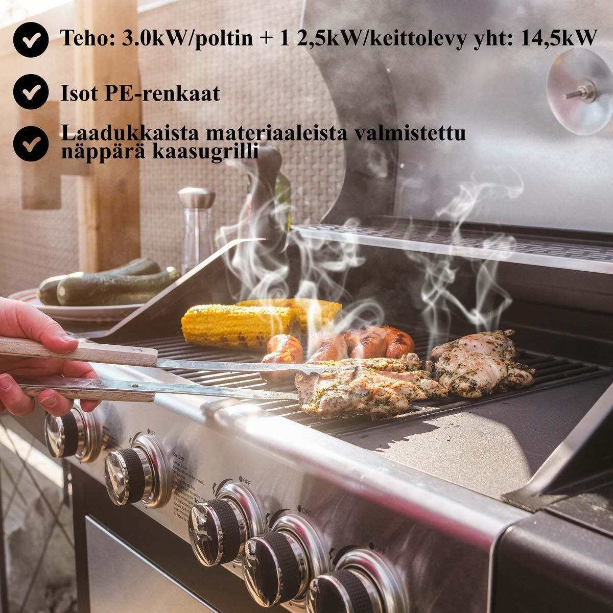 
              Limousin Kaasugrilli Royal 4+1 Stainless