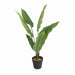 Lykke Artificial Plants Peace Lily 105cm