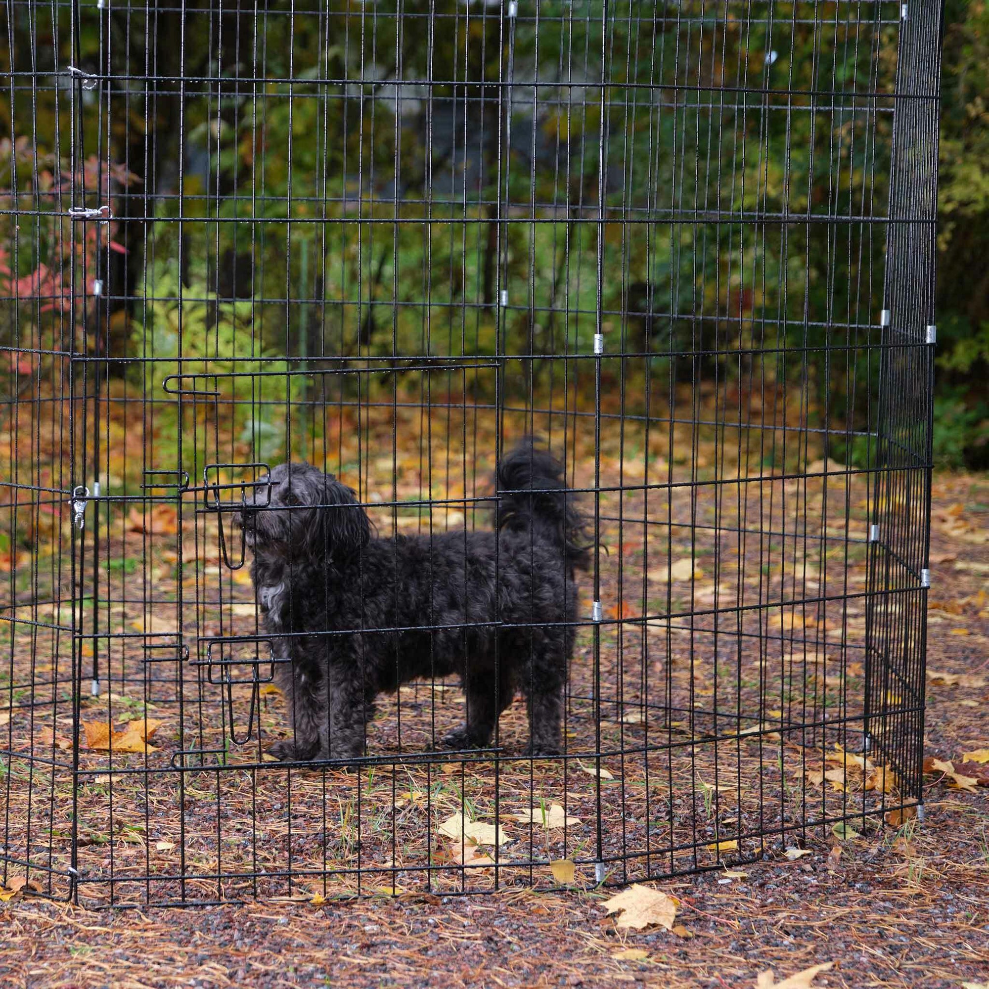 Trekker Parc à Chiot L, 8-Panneaux 61x92cm