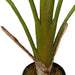 Lykke Artificial Plants Strelitzia Tree 90cm