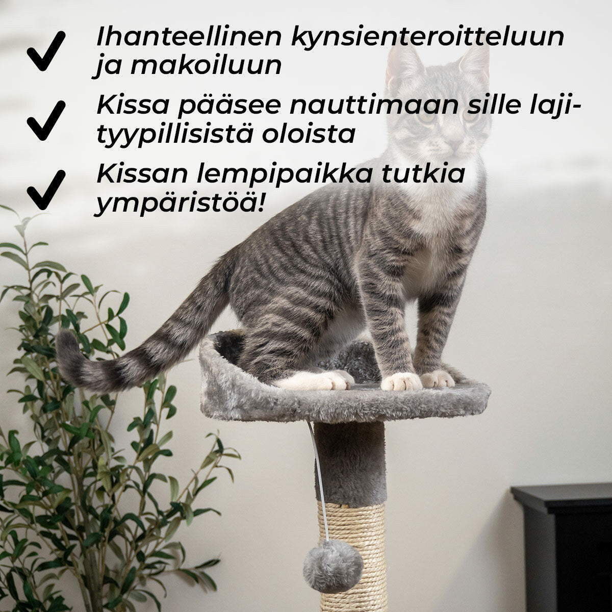 
              Trekker Kissan kiipeilypuu Home 112cm