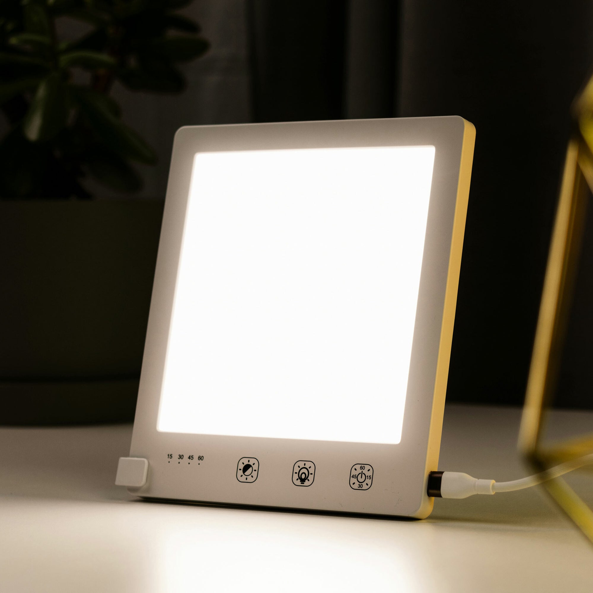 Lykke Daglichtlamp Pro 1000