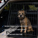 Trekker Trasportino Cani Auto Hatchback L