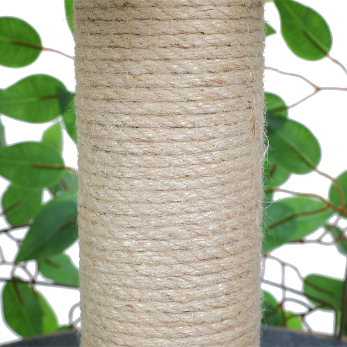 
              Trekker Tiragraffi per Gatto Naturale 150cm