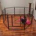 Trekker Puppy Playpen Strong S, 8-Panel 80x60cm