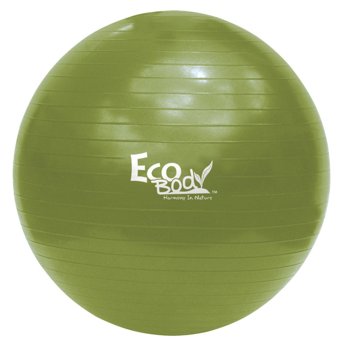 Eco Body Exercise Ball 85cm