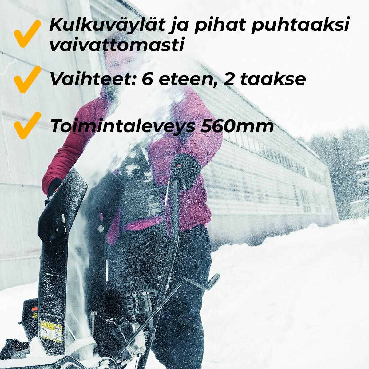 
              Fornorth Lumilinko S3100