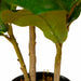 Lykke Artificial Plants Fiddle-Leaf Fig 85cm