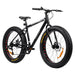 Swoop Fatbike 26