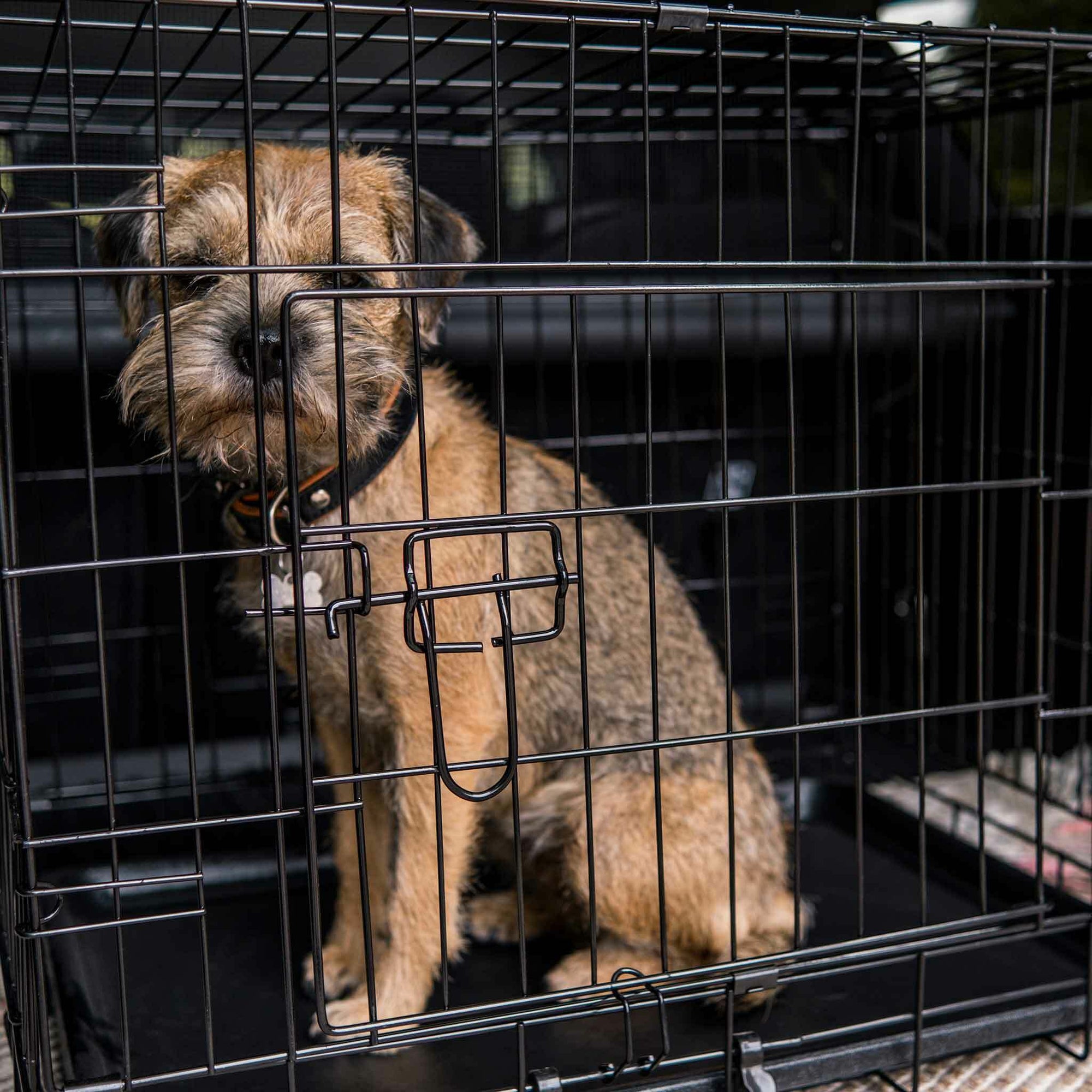 Trekker Hundebox Leichtmetall XXL