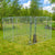 Trekker Hondenkennel 3 x 1,5m