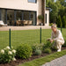 Fornorth Rete metallica 120cm (25m), verde