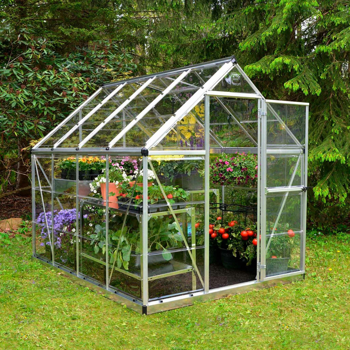 
              Palram-Canopia Greenhouse Harmony, 4,6m², 6x8, silver