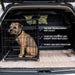 Trekker Trasportino Cani Auto Metallo Leggero M