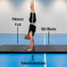AirTrack Nordic Gymnastikmåtte 245x120x4cm