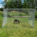 Trekker Dog Kennel 4 x 4m