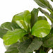 Lykke Artificial Plants Fiddle-Leaf Fig 85cm