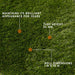 Fornorth Artificial grass Natural 34mm, 1x10m roll