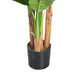 Lykke Planta Artificial de Banano de 170cm