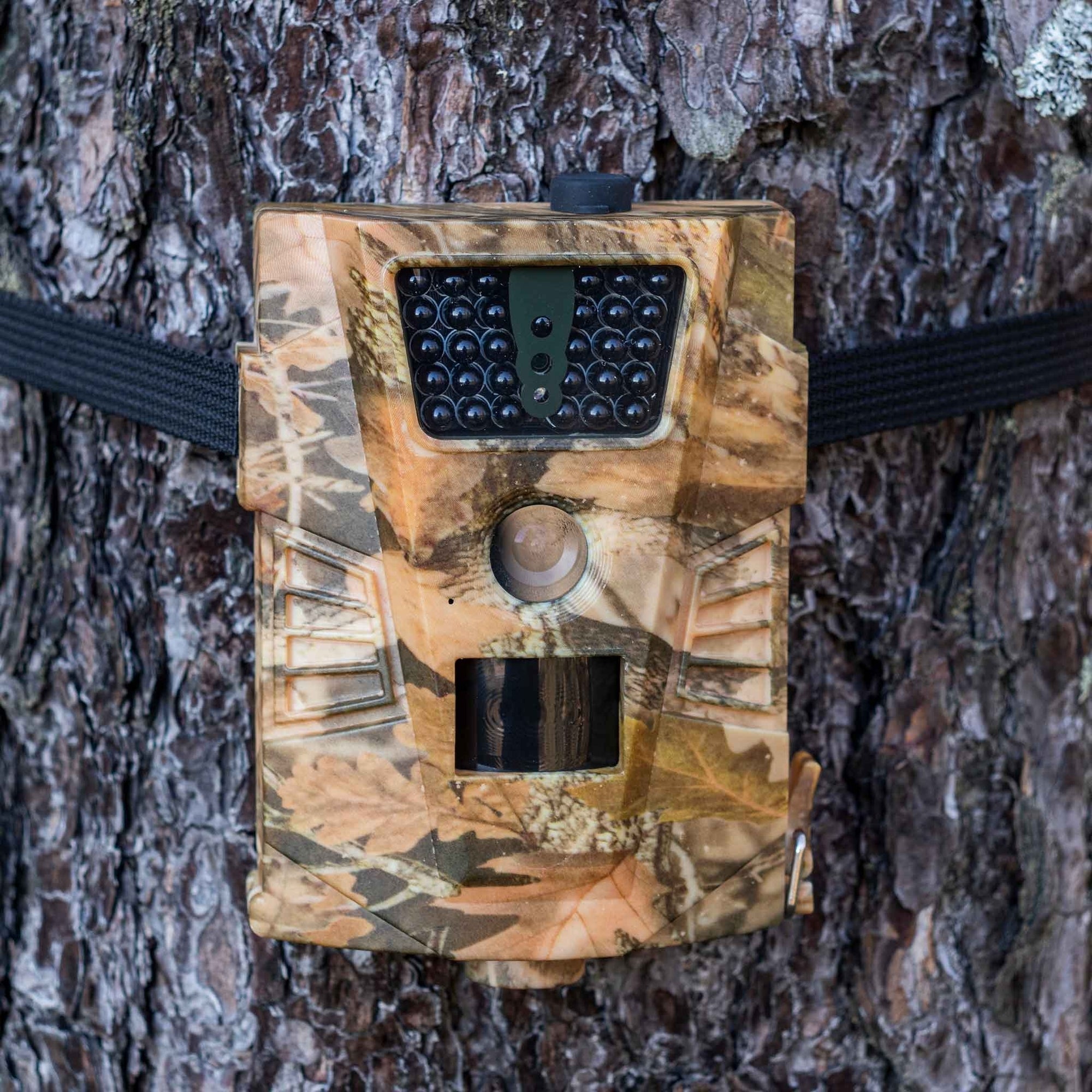 Trekker Trail Camera Recording