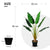 Lykke Künstliche Pflanze Strelitzia Baum 90cm