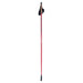 Exel Nordic Sport Oeb Qr Nordic Walking-stok, Grijs/Oranje