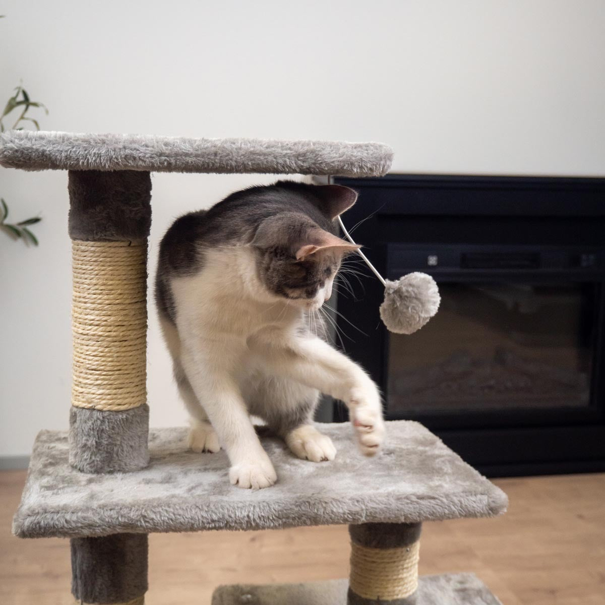 
              Trekker Rascador para gatos Basic 80cm