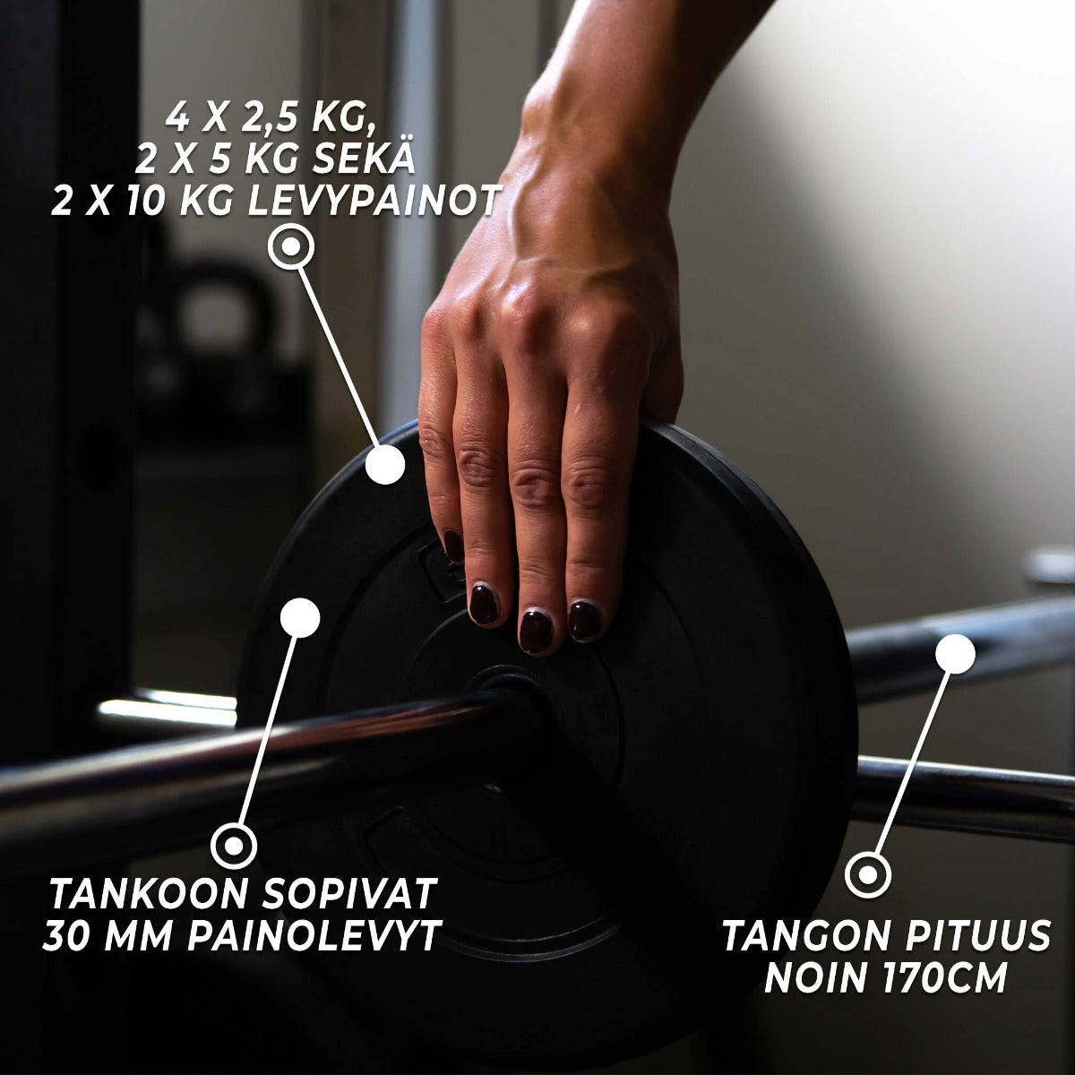 
              Fit&#39;n Shape Punttisarja 50kg