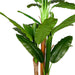 Lykke Artificial Plants Banana Tree 170cm