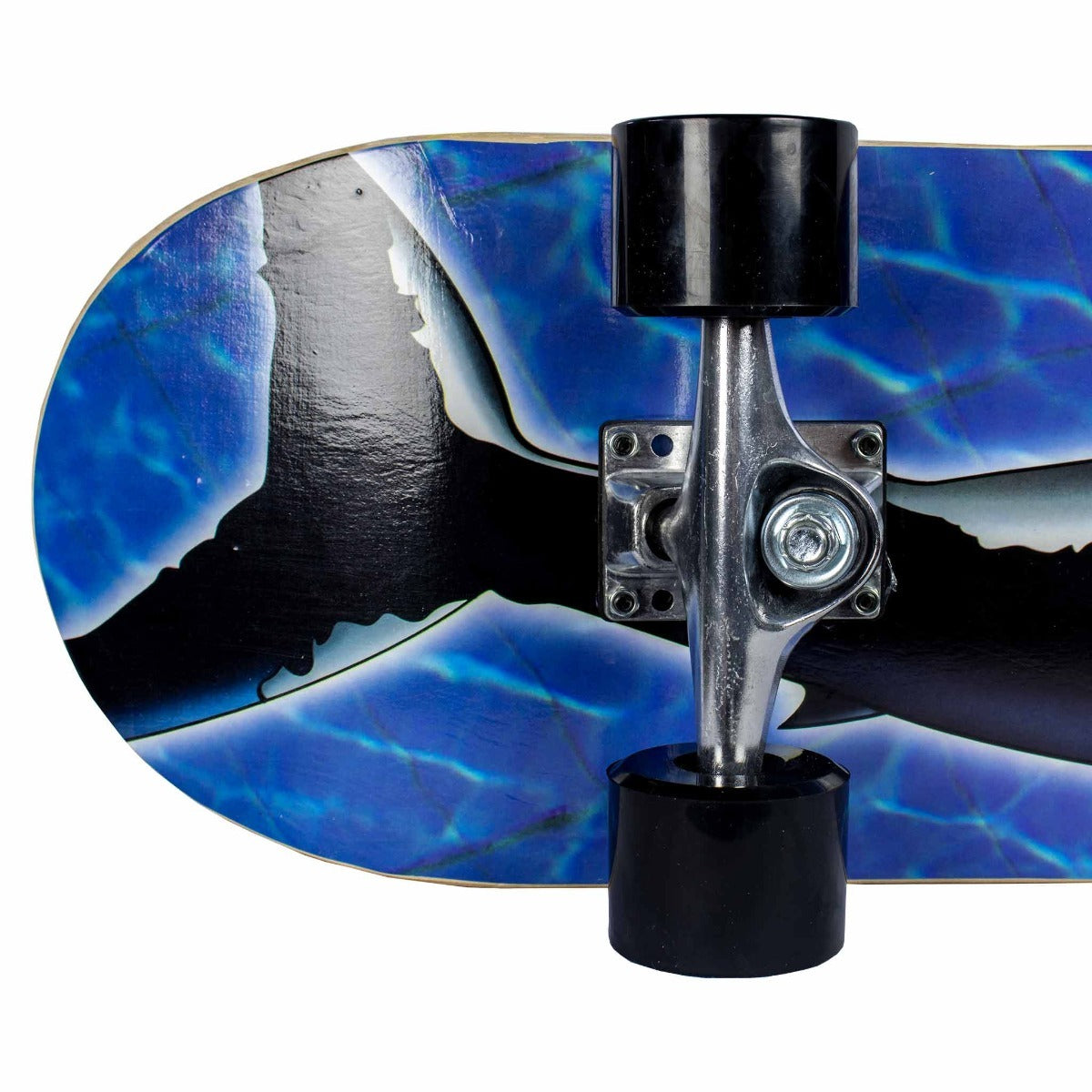 Skateboard Sandbar Shark 31X8"