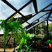 Metalcraft Greenhouse, 14,4 m², 4mm safety glass, black