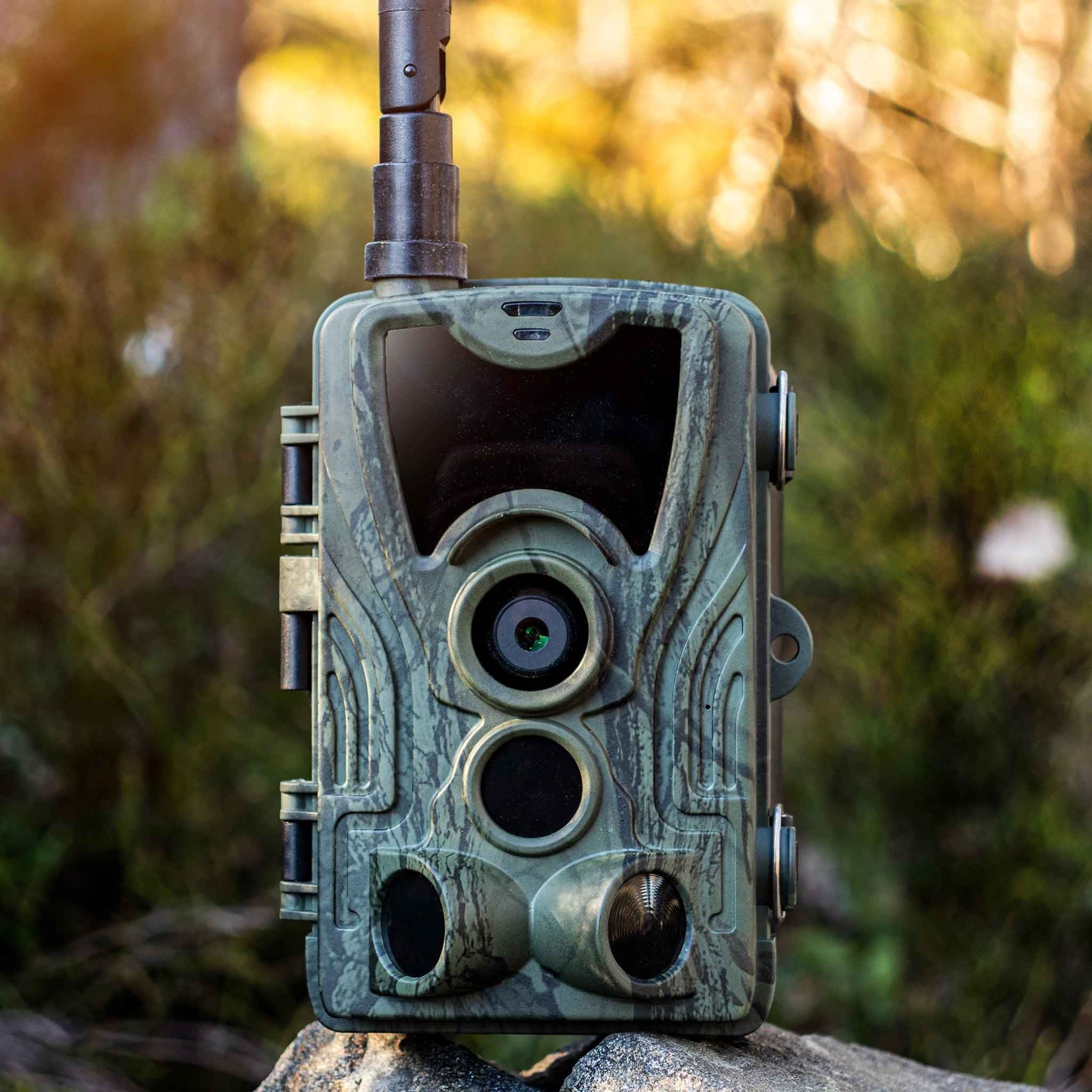 Caméra de chasse GSM 4G
