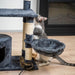 Trekker Rascador para gatos Comfy 103cm