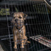 Trekker Dog Crate hatchback S