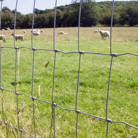 Fornorth Livestock Fence 120cm (50m), Zn