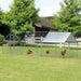 Trekker Chicken Coop 6x3x2m