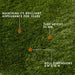 Fornorth Artificial grass Natural 34mm, 2x10m roll