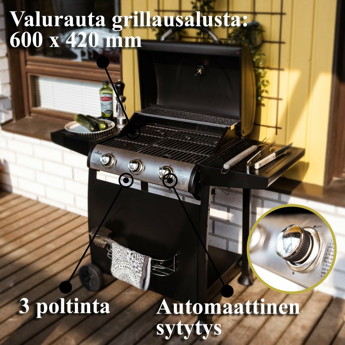 
              Limousin Kaasugrilli Classic 3