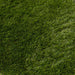 Fornorth Artificial grass Natural 34mm, 1x5m roll